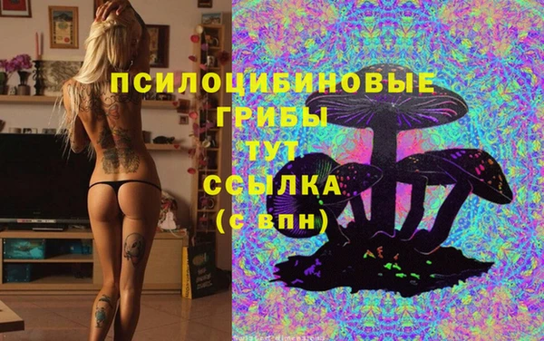 спайс Абдулино